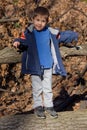 Portrait of boy in the forest Royalty Free Stock Photo