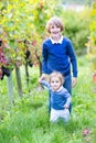 Portrait of boy with his baby sister in vine yard Royalty Free Stock Photo