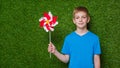 Portrait of a boy holding pinwheel over grass Royalty Free Stock Photo