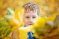 Portrait of a boy in the open air against a background of yellow leaves. Cute boy walking in the autumn Park.The child is holding Royalty Free Stock Photo
