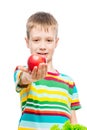 Portrait of a boy with a red ripe apple in the studio on a white background Royalty Free Stock Photo