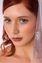 Portrait of bride with veil Royalty Free Stock Photo