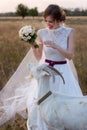 Portrait of a bride in a wedding dress which feeds a goat