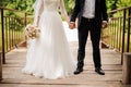 Portrait of bride in a white dress and bridegroom in a wedding suit