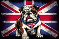 Portrait of a British Bulldog dog in front of a Union Jack which is the national flag of the United Kingdom Royalty Free Stock Photo