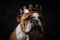 A portrait of a british bulldog wearing a royal crown. Generative ai