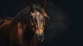 portrait brown beauty horse with white star ai Royalty Free Stock Photo