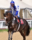 Portrait of the Brown thoroughbred racehorse and rider in motion