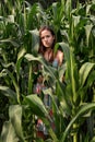 Portrait of a brunette girl among tall corn plants on a rural field in a gloomy sunset light