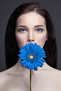 Portrait brunette woman against a dark background, blue Flower in hand. Hair care and skin, professional makeup. Mysterious brigh Royalty Free Stock Photo