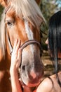 Portrait of a brunette woman stroking the muzzle of a horse close-up Royalty Free Stock Photo