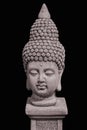 Portrait of a buddha statue, islated on black background. Sign for peace and wisdom