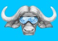 Portrait of Buffalo with ski goggles.