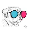 Portrait of the bulldog in the colored glasses. Vector illustration.