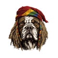Portrait of a bulldog in Pirate hat bandana. Vector illustration design