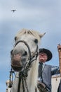 Portrait of camargue horse and a gardian Royalty Free Stock Photo