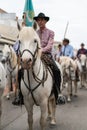 beautiful portrait of a camargue horse Royalty Free Stock Photo