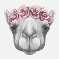 Portrait of Camel with floral head wreath. Royalty Free Stock Photo