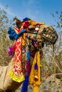 portrait camel with gorgeous decorated head