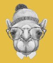 Portrait of Camel with hat and glasses