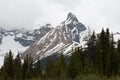 Portrait of a Canadian Glacier in Jasper