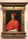 Portrait of a Cardinal