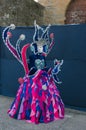 Portrait of carnival mask pink and blue Royalty Free Stock Photo