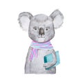 Portrait of cartoon smart koala wearing scarf and holding a book Royalty Free Stock Photo