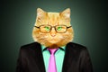 Portrait of a cat in a business suit and glasses