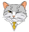 Portrait of cat in business suit. Cat smirk