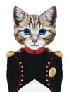 Portrait of Cat in military uniform.