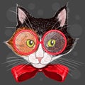 Portrait of cat in red glasses and a bow Royalty Free Stock Photo