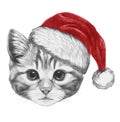 Portrait of Cat with Santa Hat.