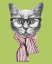Portrait of Cat with scarf and glasses. Hand-drawn illustration.