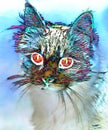 Portrait of a cat solarized version Royalty Free Stock Photo