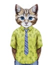 Portrait of Cat in summer shirt with tie.