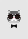 Portrait of cat, wearing glasses, like a gentleman, cool style, cosplay Royalty Free Stock Photo