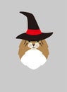 Portrait of cat, wearing hat, like a witch, cool style, cosplay Royalty Free Stock Photo