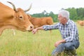 Portrait cattle farmer