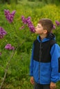 Portrait of a boy smelling the blooming bush of lilac Royalty Free Stock Photo