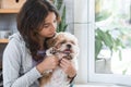 Portrait of Caucasian teenage girl playing with shih tzu puppy dog at home. Young beautiful woman sitting on floor, smiling, Royalty Free Stock Photo