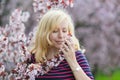 A portrait of Caucasian woman with blond hair near blossoming cherry tree, looking to the camera