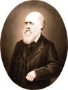 Portrait of Charles Darwin - copper engraving Royalty Free Stock Photo