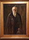 Portrait of Charles Robert Darwin Royalty Free Stock Photo