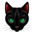 Black Cat Portrait with Green Eyes isolated on White Vector Illustration