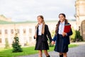 Portrait of charming girls with pigtails ponytails walking wearing black blazers jackets skirt outdoors Royalty Free Stock Photo