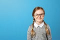 Portrait of a charming little girl schoolgirl with glasses. Cute child in a gray sweater on a blue background. Royalty Free Stock Photo