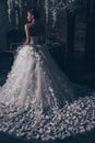 Bride from the back, romantic Beautiful bride in wedding dress with lace. The bride in an unusual butterfly dress stands with her Royalty Free Stock Photo