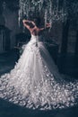 Bride from the back, romantic Beautiful bride in wedding dress with lace. The bride in an unusual butterfly dress stands with her Royalty Free Stock Photo