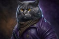 Portrait of a Chartreux cat dressed as a biker.